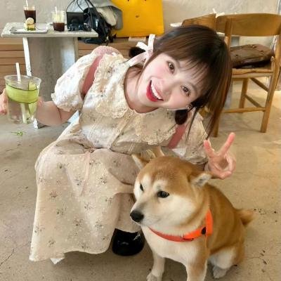 间谍过家家第一季